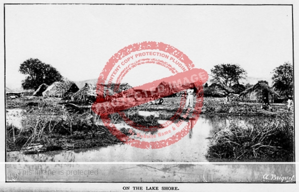 briquet-on-the-lake-shore-pre-1893