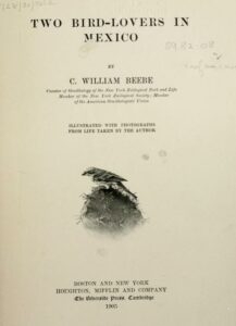 beebe-title-page