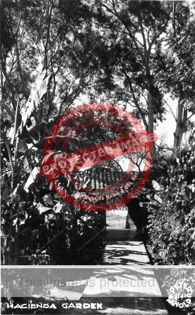"Hacienda Garden". This real photo postcard, with logo "Peter Arnold", shows the gardens of Posada Ajijic and was mailed in 1951.