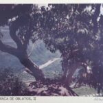 Outstanding photographer Bert Miller lived in Chapala in the 1970s and 1980s