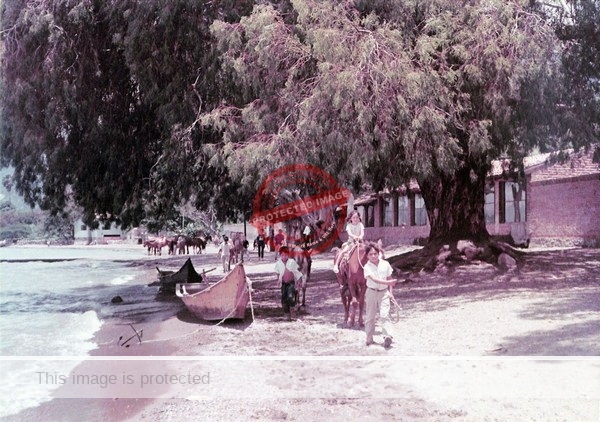 Bert Miller. ca 1972. Ajijic Lakeshore.