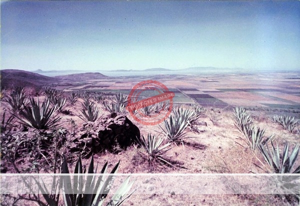 Bert Miller. Lago de Chapala y campo de Michoacan. 