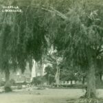 Lake Chapala on a postcard: the photographs of Luis Márquez