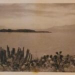 Bethel Young fell in love at Lake Chapala in 1941