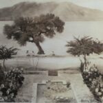 Zoe Kernick has given us a detailed description of Ajijic in 1950