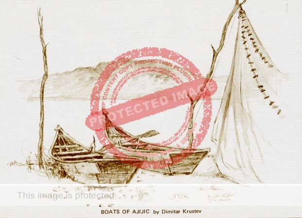 Dimitar Krustev. Boats of Ajijic. (Greetings card)