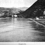Wilhelm Schiess described Chapala in 1899