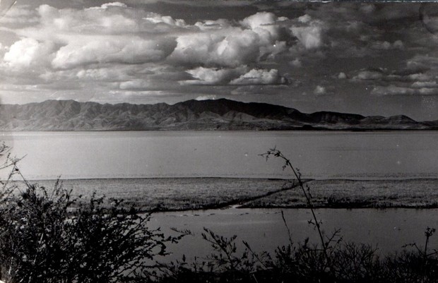 Lola Beall Graham. c. 1956. Lake Chapala. Privately published postcard.